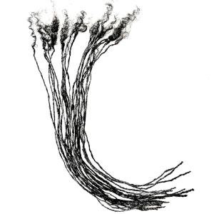 Locsanity Afro Kinky 100% Human Hair Handmade Micro Locs – 10″ – .1cm Sisterlock Width Natural Undyed Black Dreadlocks, Crochet Hair Extensions (10″, 10 Locs Per Bundle)