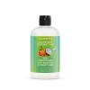 imageLocsanity Grapefruit Coconut ampamp Lime Moisturizing and Nourishing Shampoo